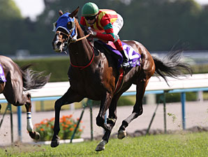 Aussie Rider Guides Jaguar Mail to Japan Win Aussie Rider Guides Jaguar Mail to Japan Win