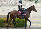 Inaugural American St. Leger Attracts Dozen Inaugural American St. Leger Attracts Dozen