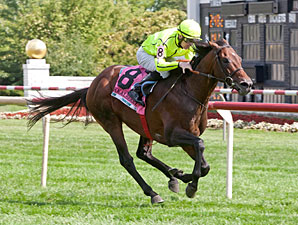 Jakkalberry Rallies, Takes American St. Leger Jakkalberry Rallies, Takes American St. Leger