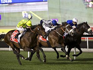 Jakkalberry Among Super Saturday Stars Jakkalberry Among Super Saturday Stars