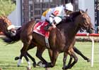 Jambalaya Spoils the Day For The Tin Man