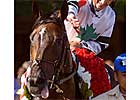 Injury Sidelines Jambalaya 
