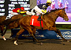 James Street Finds Path to Autumn Triumph