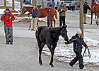 Keeneland January Sale Kicks Off 2012 Keeneland January Sale Kicks Off 2012