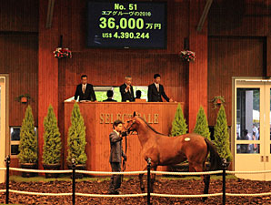 Yearling Filly Sets Record at Japanese Sale Yearling Filly Sets Record at Japanese Sale