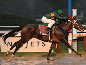 Jardin Surprises in Schuylerville Opener Jardin Surprises in Schuylerville Opener
