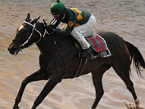 Wet Weather for Saratoga Opener Wet Weather for Saratoga Opener