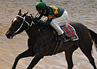 Wet Weather for Saratoga Opener