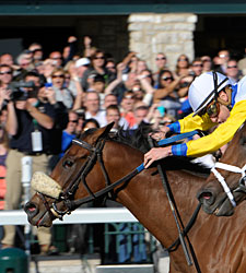 Java's War from Last to First in Blue Grass Java's War from Last to First in Blue Grass