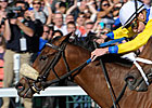 Java's War from Last to First in Blue Grass