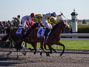 Java's War Was Declared in the Blue Grass Java's War Was Declared in the Blue Grass