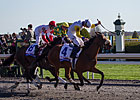 Java's War Was Declared in the Blue Grass Java's War Was Declared in the Blue Grass