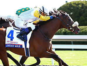 Java's War Moved to Trainer Tagg's Barn Java's War Moved to Trainer Tagg's Barn