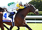 Java's War Moved to Trainer Tagg's Barn Java's War Moved to Trainer Tagg's Barn