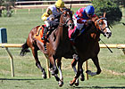 Java's War Opts For Blue Grass Over UAE Derby
