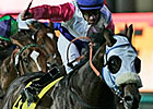 Jay Peg Dominates Singapore Cup Rivals