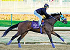Jaycito Scheduled to Undergo Throat Surgery Jaycito Scheduled to Undergo Throat Surgery