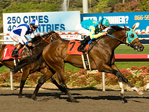 Jaycito Scratched From SA Derby Jaycito Scratched From SA Derby