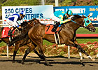 Norfolk: Jaycito Outduels J P's Gusto Norfolk: Jaycito Outduels J P's Gusto