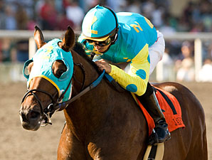 Jaycito is Now Favored in Santa Anita Derby Jaycito is Now Favored in Santa Anita Derby