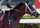 Belmont Winner Jazil: What's in Store for Him at Stud?