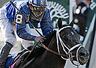 Belmont Winner Jazil Dies at Age 11 Belmont Winner Jazil Dies at Age 11