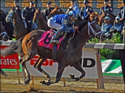 Jazil Entered in Aqueduct Allowance Race Friday Jazil Entered in Aqueduct Allowance Race Friday