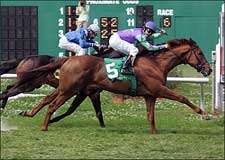 Jazz Quest, Saint Anddan Lead Fair Grounds Upsets Jazz Quest, Saint Anddan Lead Fair Grounds Upsets