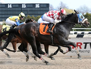 Samyn Makes Winning Return at Aqueduct Samyn Makes Winning Return at Aqueduct