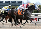 Samyn Makes Winning Return at Aqueduct