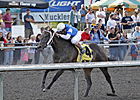 A Dozen Lined Up for British Columbia Derby 