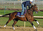 Pender Hopes To Lasso Mile With Jeranimo Pender Hopes To Lasso Mile With Jeranimo
