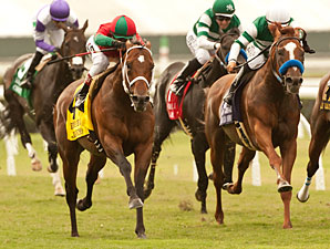 Who Will Step Forward in Del Mar Handicap? Who Will Step Forward in Del Mar Handicap?