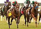Who Will Step Forward in Del Mar Handicap? Who Will Step Forward in Del Mar Handicap?