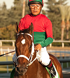 Jeranimo Heads Cup Workers at Santa Anita Jeranimo Heads Cup Workers at Santa Anita