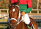 Jeranimo Heads Cup Workers at Santa Anita