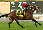 No Easy Pickings in Sunshine Millions Turf No Easy Pickings in Sunshine Millions Turf