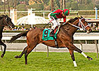 Jeranimo Headlines Deep Field for San Marcos Jeranimo Headlines Deep Field for San Marcos