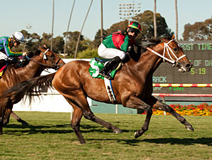 Jeranimo Looks to Stay Sharp in Del Mar Mile Jeranimo Looks to Stay Sharp in Del Mar Mile