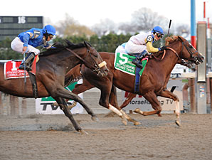 Jersey Town Scores 34-1 Cigar Mile Upset