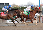 Jersey Town Scores 34-1 Cigar Mile Upset Jersey Town Scores 34-1 Cigar Mile Upset