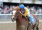 Jersey Town Scratched from Cigar, Retired