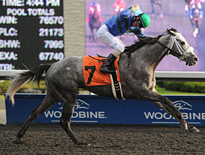 Jockey Campbell Posts Five Wins at Woodbine Jockey Campbell Posts Five Wins at Woodbine