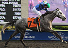 Jockey Campbell Posts Five Wins at Woodbine