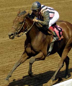 Academy Grad Fifth in Debut as Jockey Academy Grad Fifth in Debut as Jockey