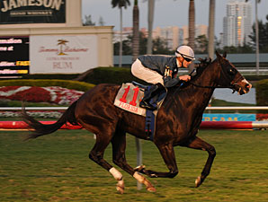 Jet Propulsion Takes Off in 'Millions Turf Jet Propulsion Takes Off in 'Millions Turf