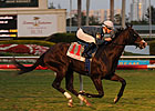 Jet Propulsion Takes Off in 'Millions Turf Jet Propulsion Takes Off in 'Millions Turf