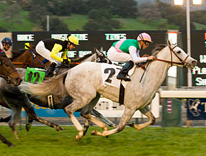 Frankel Lowers Jibboom On Monrovia 'Cap Frankel Lowers Jibboom On Monrovia 'Cap