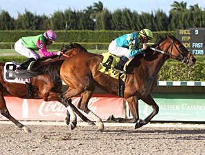 Jimanator Downs Mambo Meister in Hooper Jimanator Downs Mambo Meister in Hooper