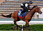 Hong Kong Interview - John Barry Hong Kong Interview - John Barry